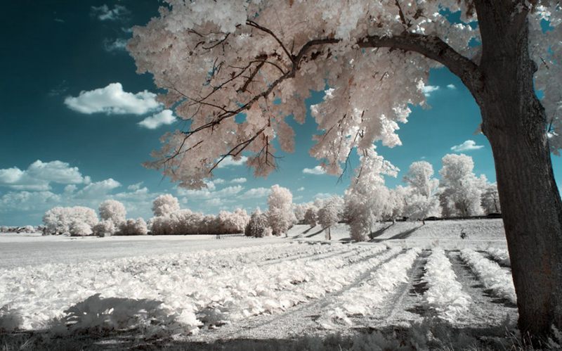 ��Ӱ���ɣ�������Ӱ�µ���ɫ�����ѩ��--�������