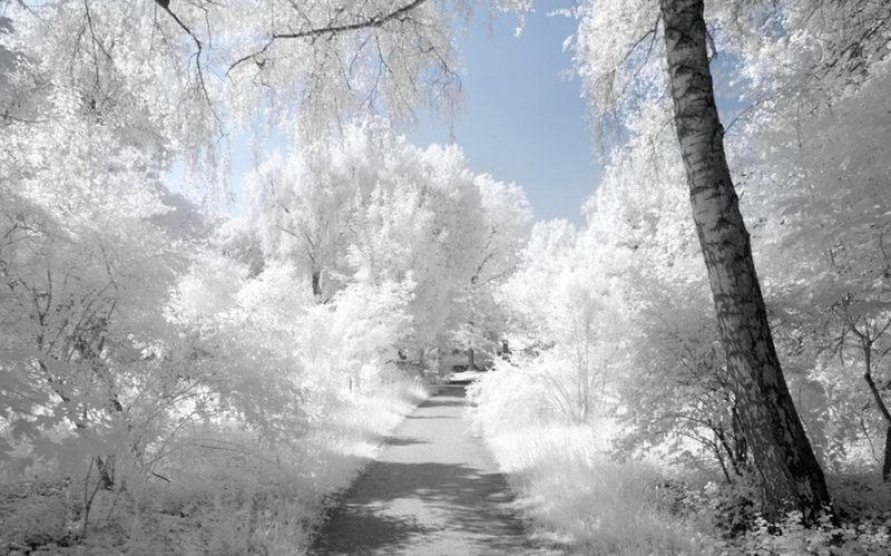 ��Ӱ���ɣ�������Ӱ�µ���ɫ�����ѩ��--�������