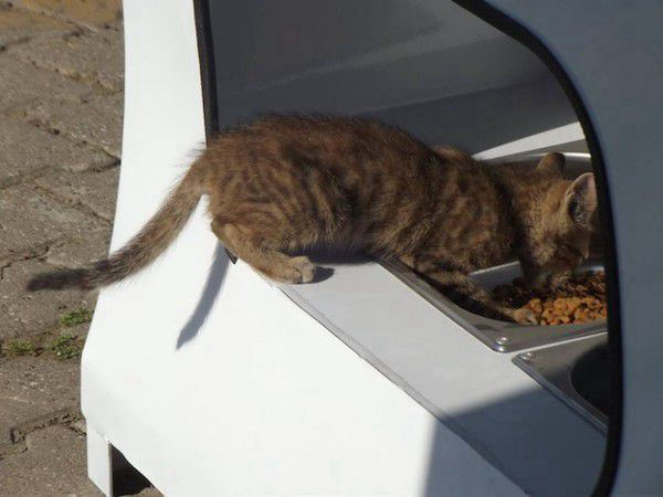 新型环保自动贩卖机,可为流浪猫狗提供食物--阿里百秀