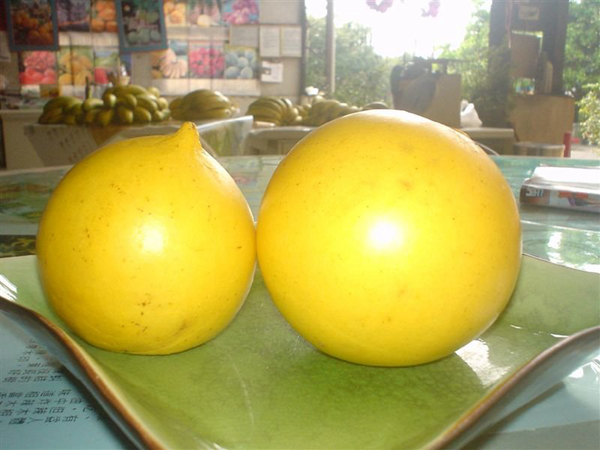 20�ֲ��������ܺóԵĹ���ˮ�������޽ǹϾ����ǳԻ���׷��--�������