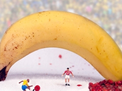 ΢����Ӱ��ʳ�����ż��ÿ�����ǲ�ͬ�Ĺ���